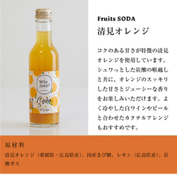 国産フルーツ使用♪ Fruits SODAと  パルプを使用した米粉クッキーのセット 4枚目の画像