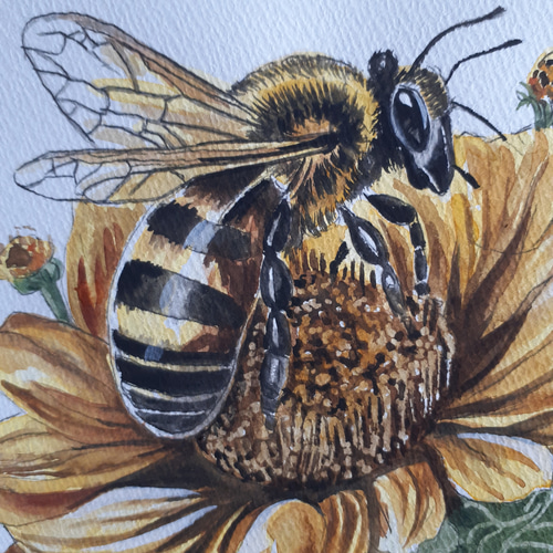 水彩画 ひまわりとミツバチ 絵画 makochin 通販 16580866｜Creema