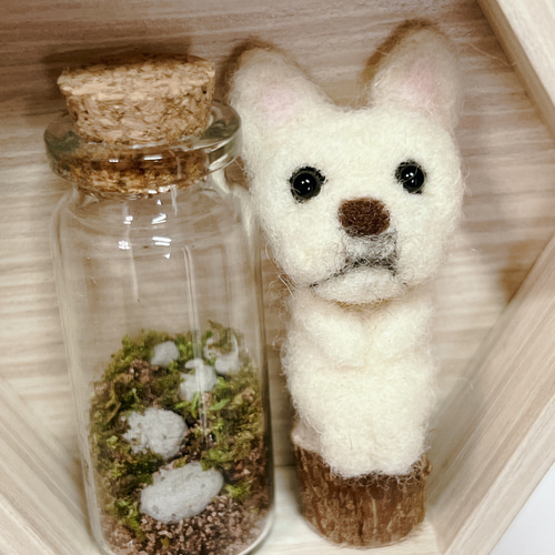 くらぷらか】苔テラリウムとフレブルちゃん 羊毛フェルト 置物 その他 
