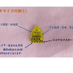 世界に一つだけ！◆◆耳標キーホルダー◆◆～カスタマイズ～ 2枚目の画像