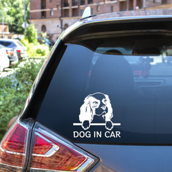 カッティングステッカー DOG IN CAR キャバリア 3枚目の画像