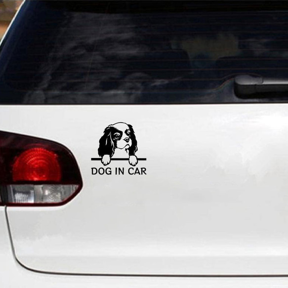 カッティングステッカー DOG IN CAR キャバリア 2枚目の画像