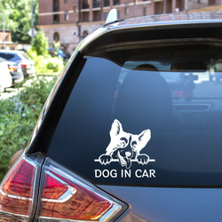 カッティングステッカー DOG IN CAR コーギー 3枚目の画像