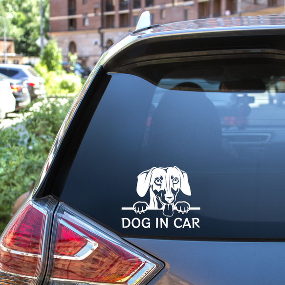 カッティングステッカー DOG IN CAR ダックスフンド 3枚目の画像