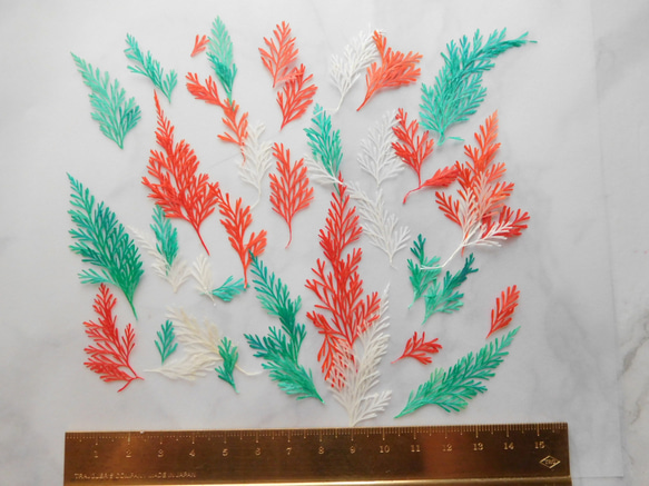 Christmasカラー　ダバリアリーフ　押し花素材 7枚目の画像