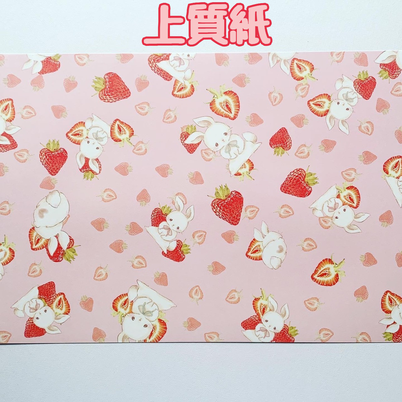イチゴとうさぎ〈A4サイズ・額入り〉