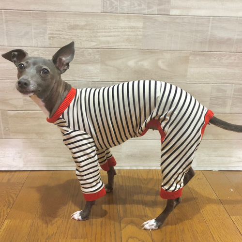 太ボーダーのロンパース　イタグレ服　犬服　ハンドメイド イタグレ ボーダー ロンパース ペット服・アクセサリー alon_handmade