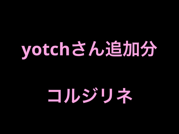 ★yotchさん追加分★コルジリネ★ 1枚目の画像