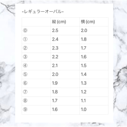 サイズ測定用チップ 4枚目の画像