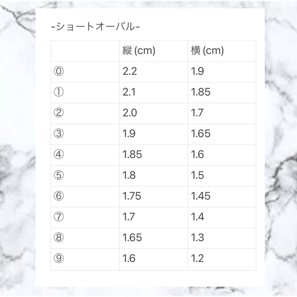 サイズ測定用チップ 3枚目の画像