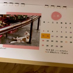 たいわんねこカレンダー2024【Sale】 2枚目の画像
