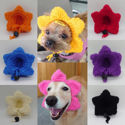 犬の帽子　お花の耳出しニット帽 1枚目の画像