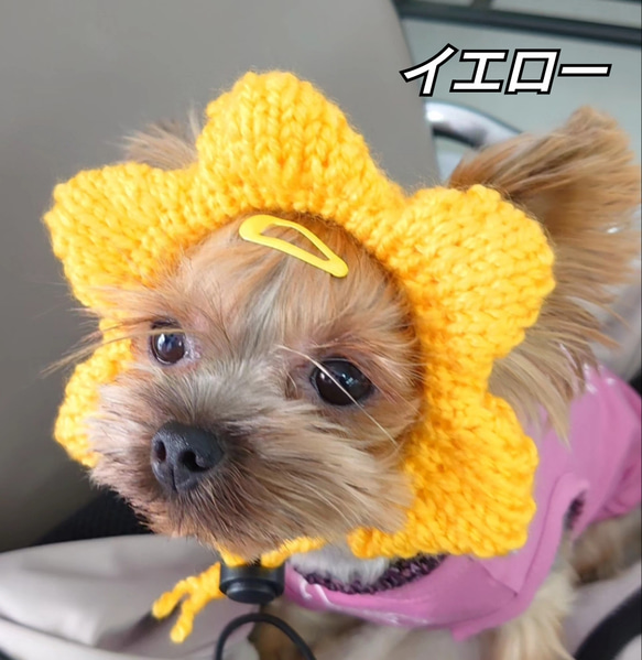 犬の帽子　お花の耳出しニット帽 2枚目の画像