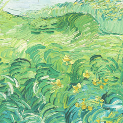 ゴッホ アートポスター グリーン「Green Wheat Fields, Auvers」 インテリアアート 有名絵画 13枚目の画像