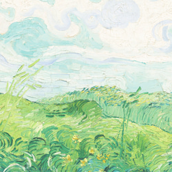 ゴッホ アートポスター グリーン「Green Wheat Fields, Auvers」 インテリアアート 有名絵画 11枚目の画像