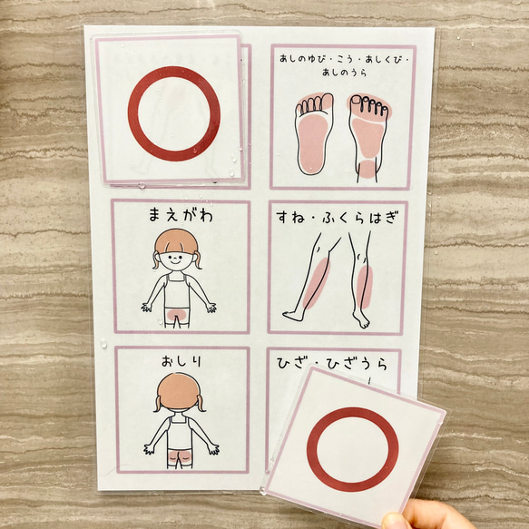 【データ販売】手順表　視覚支援カード　絵カード　自閉症 4枚目の画像