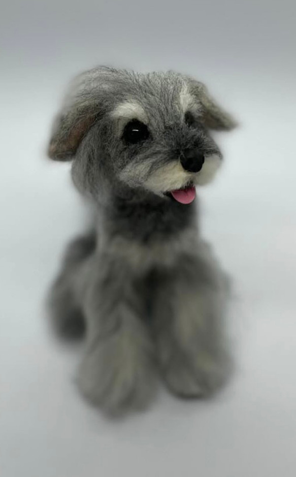 羊毛フェルトの愛犬さんオーダーメイドMサイズ 5枚目の画像
