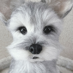 羊毛フェルトの愛犬さんオーダーメイドMサイズ 1枚目の画像