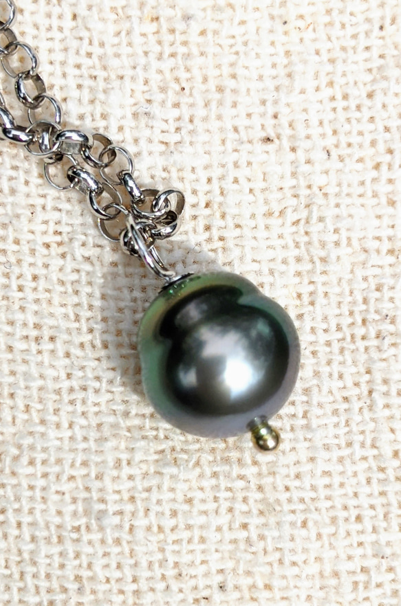 黒蝶真珠9.8mm SV925チェーンネックレス ✧one stock only 