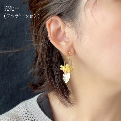 色が変わる金木犀イヤリング/ピアス ٭❀* 淡いグラデーション 揺れる 
