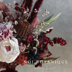 コットンフラワー（ブラウン）、コットンツリー、ワタの木、綿の実