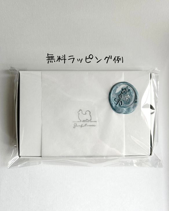  第10張的照片