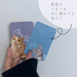 【うちの子】スマホ インナーシート カード イラスト オーダーメイド 3枚目の画像