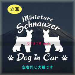 【同一犬種】　かわいい愛犬2頭飼い『Dog　in　Car』シルエットステッカー 1枚目の画像