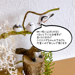 totorigiの森　エゾリス　シマエナガ　動物　フィギュア　ミニチュア　木工　置物 6枚目の画像