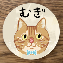 ２枚セット★マグネット仕様【茶トラ（名入れOK）】猫のステッカー（屋外使用OK） 4枚目の画像