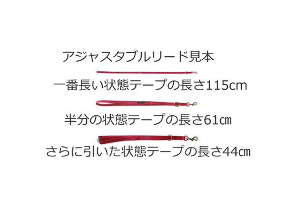 小型犬・中型犬・大型犬の首輪、リード、ハーフチョーク、バックル付きハーフチョーク、大型犬ハーネス　プリントポッロ 10枚目の画像