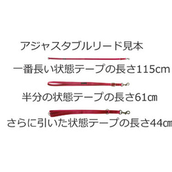 中型犬・大型犬の首輪、リード、ハーフチョーク、バックル付きハーフチョーク、大型犬ハーネス　プリントポッロ 10枚目の画像