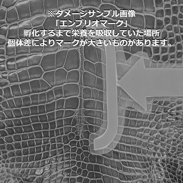 ワニ革  グレージング(艶)  レモンピール「バッグ製作向け・幅30/34」 No.CM0144(5696-98） 9枚目の画像