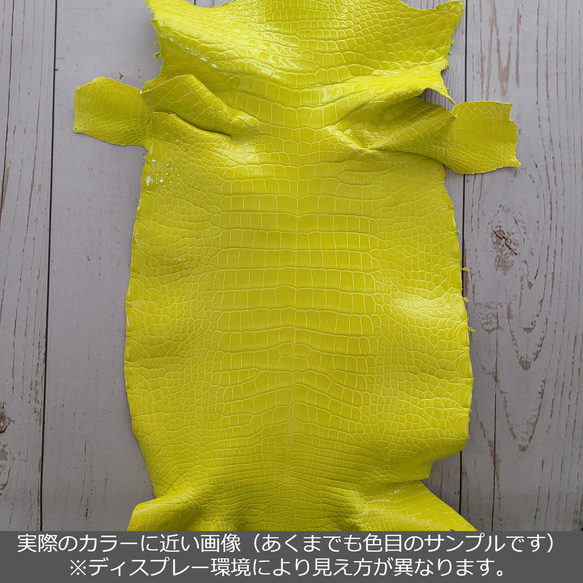 ワニ革  グレージング(艶)  レモンピール「バッグ製作向け・幅30/34」 No.CM0144(5696-98） 2枚目の画像