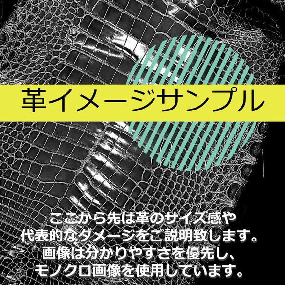ワニ革  グレージング(艶)  レモンピール「バッグ製作向け・幅30/34」 No.CM0144(5696-98） 6枚目の画像