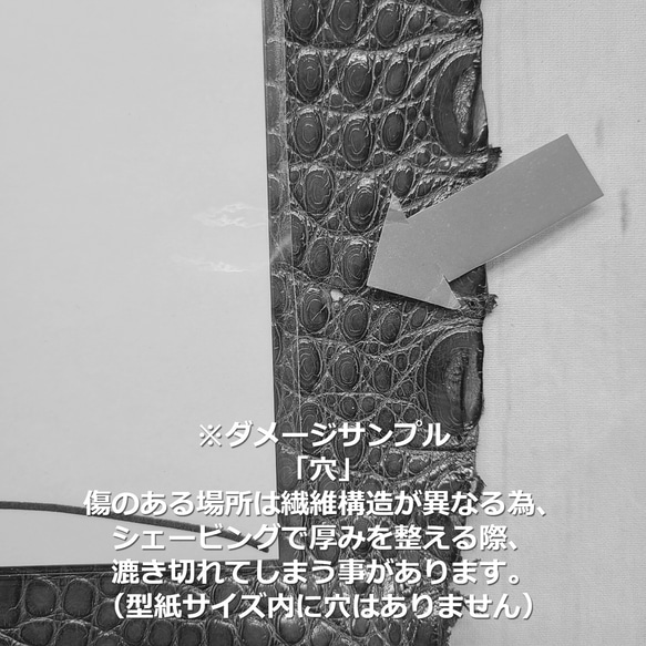 ワニ革  グレージング(艶)  レモンピール「バッグ製作向け・幅30/34」 No.CM0144(5696-98） 10枚目の画像