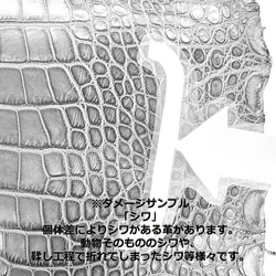 ワニ革  グレージング(艶)  レモンピール「バッグ製作向け・幅30/34」 No.CM0144(5696-98） 17枚目の画像
