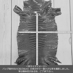 ワニ革  グレージング(艶)  レモンピール「バッグ製作向け・幅30/34」 No.CM0144(5696-98） 7枚目の画像