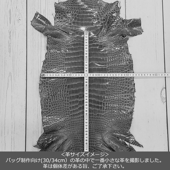 ワニ革  グレージング(艶)  レモンピール「バッグ製作向け・幅30/34」 No.CM0144(5696-98） 7枚目の画像