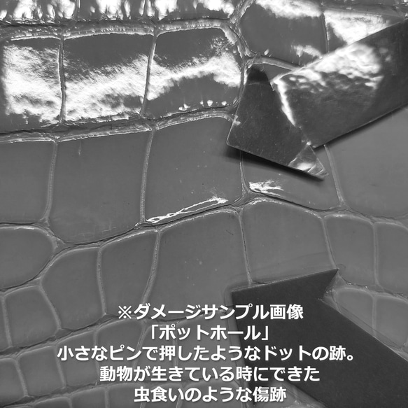 ワニ革  グレージング(艶)  レモンピール「バッグ製作向け・幅30/34」 No.CM0144(5696-98） 14枚目の画像