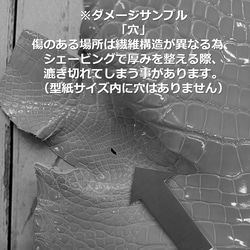 ワニ革  グレージング(艶)  レモンピール「バッグ製作向け・幅30/34」 No.CM0144(5696-98） 11枚目の画像