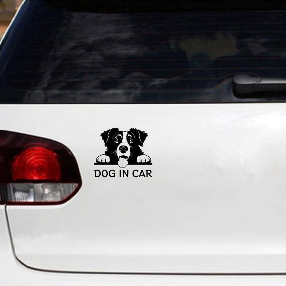 カッティングステッカー DOG IN CAR ボーダーコリー 2枚目の画像