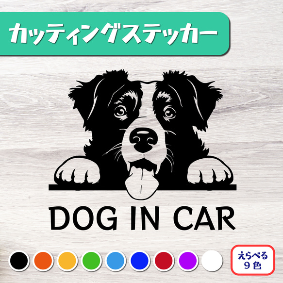 カッティングステッカー DOG IN CAR ボーダーコリー 1枚目の画像