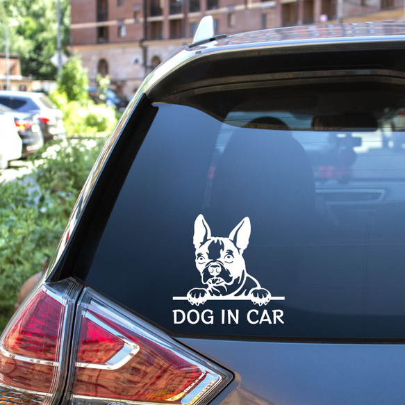 カッティングステッカー DOG IN CAR ボストンテリア 3枚目の画像