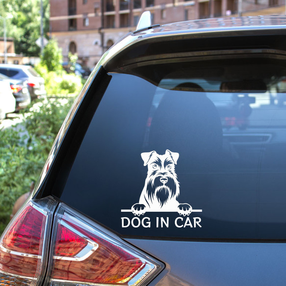 カッティングステッカー DOG IN CAR ミニチュアシュナウザー 3枚目の画像