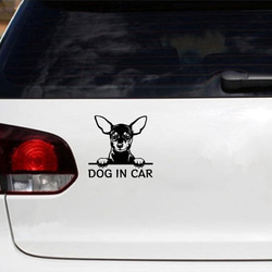 カッティングステッカー DOG IN CAR ミニチュアピンシャー 2枚目の画像