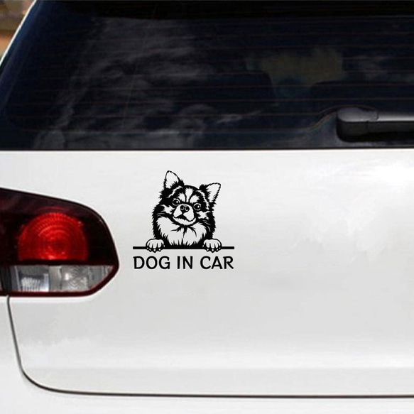 カッティングステッカー DOG IN CAR ロングコート チワワ 2枚目の画像