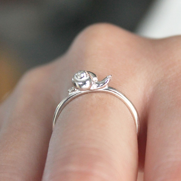 蝸牛戒指 第1張的照片