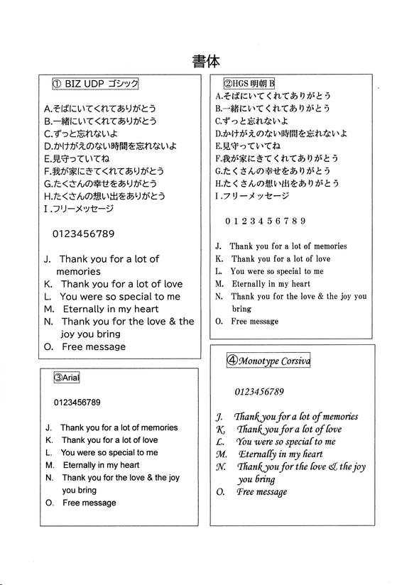  第11張的照片