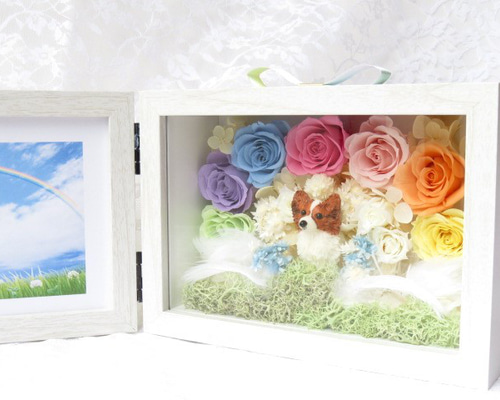 ee16cc316e0f302f803fd31d5f2c19